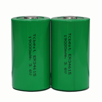 ER34615-19000MAH-3.6V
